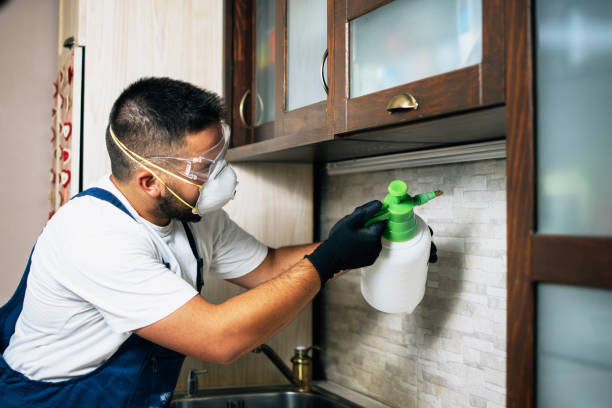 Best Affordable Pest Control Services  in USA